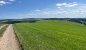 Tour Wandern Sankt Vith - Lommersweiler version longue 2023 - Photo 14