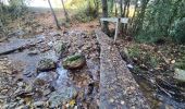 Percorso Marcia Stoumont - A la découverte du ruisseau du Roannay et le village de Moulin du Ruy - Photo 13