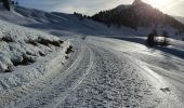 Tocht Sneeuwschoenen Vars - Fontbonne Peynier  - Photo 6