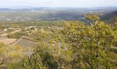 Tour Wandern Auribeau - Auribeau. Mourre-Nègre - Photo 5