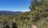 Tour Mountainbike Saint-Zacharie - Au départ de St. Zacharie-Les sources de l'huveaune - Photo 1