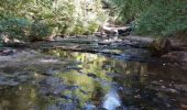 Excursión Senderismo Menétrux-en-Joux - CASCADES DU HERISSON DEPUIS MENETRUX-EN-JOUX - Photo 19