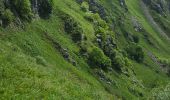 Trail Walking Xonrupt-Longemer - 2024 RA Vosges J4 autour du Kastelberg - Photo 6
