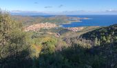 Trail Walking Banyuls-sur-Mer - 20201015 Banyuls dans le vent - Photo 4