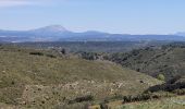 Tour Wandern Aix-en-Provence - sentier Badaire plateau de l'Arbois - Photo 6