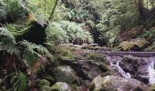 Percorso Marcia São Jorge - Levada del Rei - Photo 2