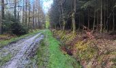 Trail Walking Spa - de la Sauveniere à la Reine, autour de Malchamps  - Photo 16