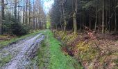 Randonnée Marche Spa - de la Sauveniere à la Reine, autour de Malchamps  - Photo 16