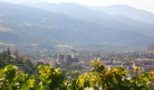 Trail On foot Brixen - Bressanone - Pinazweg - Photo 10