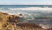 Randonnée Marche Le Moule - Porte d'Enfer - Anse Salabouelle - Photo 1