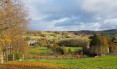 Tocht Stappen Malmedy - Bellevaux  - Photo 7