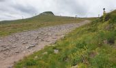 Tour Wandern Albepierre-Bredons - Le Plomb du Cantal - Photo 11