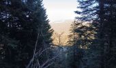 Tocht Stappen Séchilienne - Lac de Luitel - Pic de l'oeilly  - Photo 13