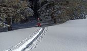 Tour Schneeschuhwandern La Pesse - L'Embossieux - Les Planes - Photo 1
