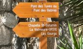 Randonnée Marche Montauroux - St Cezaire : gorges de la Siagne  - Photo 1
