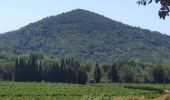 Trail Walking La Garde-Freinet - La Garde-Freinet - le Curnier - St Clément -LGF - Photo 2