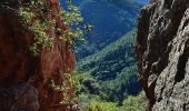 Trail Walking Théoule-sur-Mer - Théoule - Pont Sarrazin - Mont Saint Martin - Sommet Grosses Grues - Col Notre Dame - Photo 5