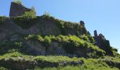 Trail Walking La Vancelle - Les Hauts de La Vancelle - Photo 19