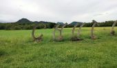 Trail Walking Saint-Ours - Puy de Jume puy de Coquille depuis parking  avant Beauregard - Photo 3