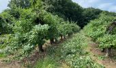 Tocht Stappen Aarschot - S-GR Hageland: Aarschot - Kortrijk-Dutsel - Photo 11