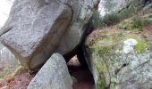 Tour Wandern Fontainebleau - Belle Croix  - Photo 4