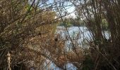 Randonnée Marche Lignan-sur-Orb - Sur les rives de l'Orb - Pont de Tabarka - Pont de Cazouls - Photo 8