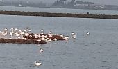 Percorso Marcia Palavas-les-Flots - palavas - Photo 2