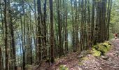 Tocht Stappen Les Rousses - Lac 