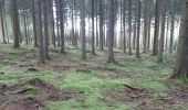 Trail Walking Aywaille - ninglinspo rando 21 - Photo 7
