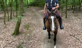 Trail Horseback riding Habay - Les 4 fils saumon à cheval - Photo 1