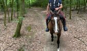 Tocht Paardrijden Habay - Les 4 fils saumon à cheval - Photo 1