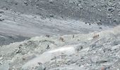 Randonnée Marche Pralognan-la-Vanoise - Col du soufre et bas du glacier de Gébroulaz - Photo 12