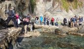 Tour Wandern Hyères - La presqu'ile de Giens,côté Est - Photo 9