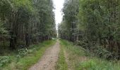 Tocht Stappen Spa - grand tour de la fagne de Malchamps - Photo 5