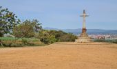 Excursión Senderismo Villares de Órbigo - Santibañez Astorga Murias - Photo 5