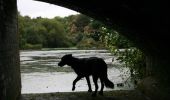 Percorso A piedi Somerset West and Taunton - Herepath Trail - Otterford - Photo 6