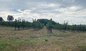 Randonnée Marche Aerschot - SGR Hageland: d'Aarschot à Wezemaal - Photo 12