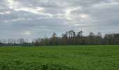 Trail Walking Brunehaut - Hollain 16,2 km - Photo 8