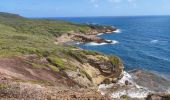 Tour Wandern La Trinité - Presqu'île de la caravelle  - Photo 15