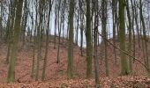 Randonnée Marche Braine-le-Château - Braine le chateau 11 km - Photo 12