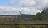 Tocht Stappen Waimes - 20210911 - Sourbrodt 6.3 Km - Photo 8