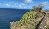 Tour Wandern Los Realejos - Rambla De Castro - Los Roques (Ténérife) - Photo 18