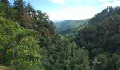 Tocht Stappen Oberhaslach - cascade du Nideck - Photo 1