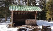 Tour Wandern Oberhaslach - Oberhaslach - Porte de Pierre - Rocher de Mutzig - Cascade de Soultzbach - Photo 8