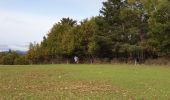 Trail Walking Chabestan - Champignons Chabestan - Photo 4