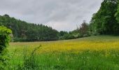 Trail Walking Modave - boucle Romont par la réserve naturelle du Thiers de Croix - Photo 4