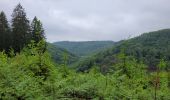 Tocht Stappen Vresse-sur-Semois - rando vresse sur semois 2-06-2024 - Photo 11