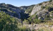 Tour Pfad Cheval-Blanc - Gorges du Régalon - Oppède le vieux - Photo 1