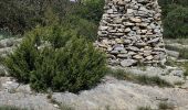Trail Walking Solliès-Toucas - Promenade à Siou Blanc - Photo 12