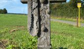 Tour Wandern Hotton - Werpin pvl - Photo 12